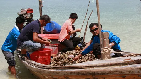 ยึด 'ปะการัง' หายาก งมจากอันดามันส่งขาย กทม.