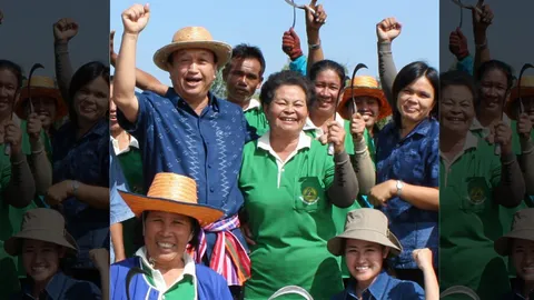 นักปั้นกลุ่มผลิตพันธุ์ข้าว