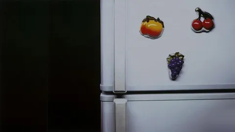 แม่เหล็กติดตู้เย็น ฆ่าคนระยะเผาขน