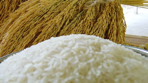 ตีปี๊บต่างชาติเข้าคิวซื้อข้าว พาณิชย์โอ่สต๊อกเจ้าปัญหาท่าจะไม่พอขาย