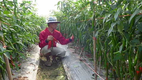 คลินิกเกษตรเคลื่อนที่ฯ ออกบริการเกษตรกร จ.สระแก้ว 16พค.นี้