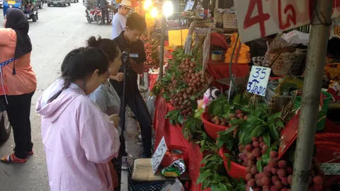 ชาวสวนลิ้นจี่เชียงใหม่อ่วม ราคาต่ำกว่าตลาด-วอนรัฐช่วย