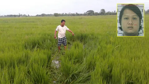 รุมตีหนุ่มโรงงานดับกลางทุ่งนา พุ่งปมชู้สาว-แค้นส่วนตัว