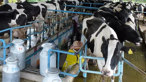 อ.ส.ค.ฟุ้งยอดขายผลิตภัณฑ์นมพุ่ง เจาะเพื่อนบ้านฉลุยโตสวนกระแส