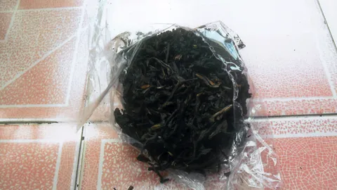 "ชาจีน"แก้ตาอักเสบ เพราะลมและแดด