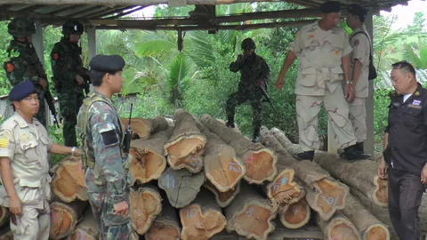 ทหารยึด 'ไม้สัก-ไม้แดง' ซุกโกดัง 'แม่สอด' ค่าหลายล้าน