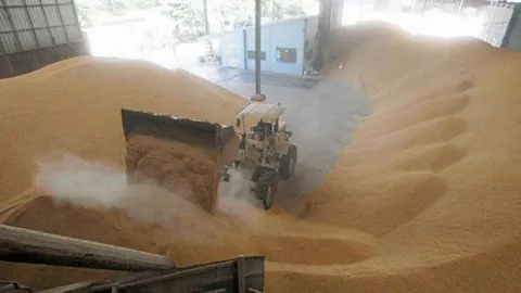 พณ.ปรับแนวทางระบายข้าว รอคสช.เคาะเงื่อนไขเดินหน้า