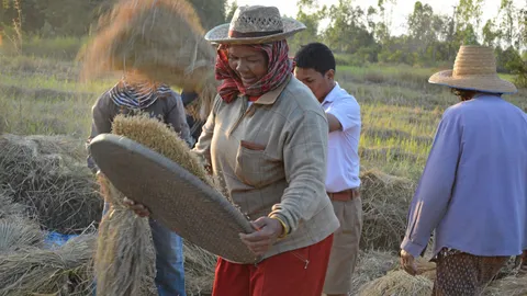 'พณ.' ยันเดินหน้าขายข้าวผ่านเอเฟต เล็งปรับแนวทางใหม่เสนอ 'คสช.'