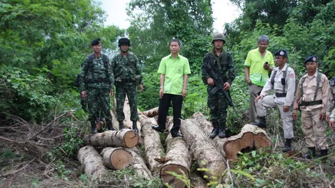 ยึดไม้สักค่า6แสน ซุกป่าละเมาะ กำแพงเพชร