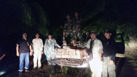 ยึดไม้ชิงชัน ค่า 5 แสน ซุกสวนปาล์ม 'อุดรฯ'