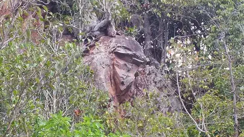 ฮือฮา! พบรูปแกะสลักหน้าทหารญี่ปุ่น หน้าผาชุมพร