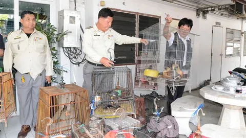 บุกจับสัตว์ป่าสงวน แอบซุกบ้านย่านปทุมฯ พบนกหายากอื้อ