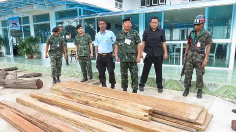 ยึดไม้เถื่อนอุทยานฯ ภูพาน ลอบแปรรูปในสำนักสงฆ์