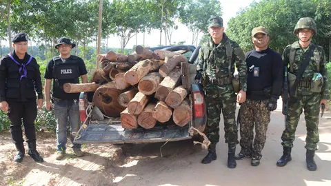 ลอบตัดไม้พะยูงพรางสร้างบ้านหวังตบตา จนท.ไปไม่รอด