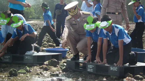 กองทัพเรือปล่อยสัตว์ทะเล เฉลิมพระเกียรติ 87 พรรษา
