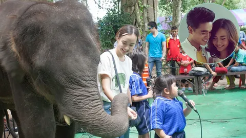 4 ปีช้างขวัญเมือง 'เต้ย-อเล็กซ์' ส่งต่อรักดีๆ ให้ช้าง 