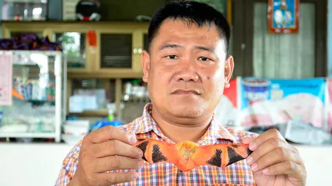 ชาวบ้านพบค้างคาวยอดกล้วยปีกผีเสื้อใกล้จะสูญพันธุ์ 