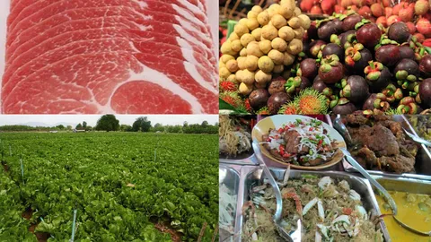 ปฏิรูปนโยบาย 'อาหารปลอดภัย' ระดับชาติสู่ภูมิภาคเอเชีย