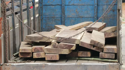 ยึดไม้ชิงชันค่า3ล้านบาท เตรียมส่งข้ามโขงตีตราลาว 