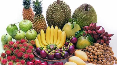 "เกษตร" ชงงบอุ้มผลไม้ราคาร่วง