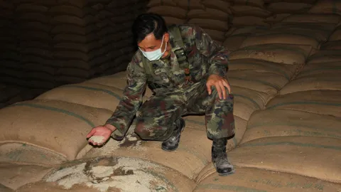 ทหาร-ผู้ตรวจฯพม.ลุยตรวจโกดังข้าว กำแพงเพชร พบข้าวเน่าอื้อ