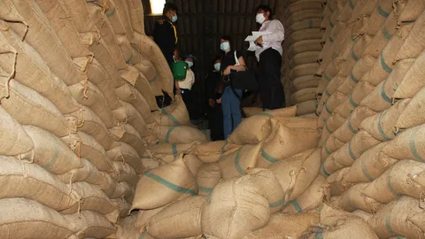 ผงะ! ตรวจโกดังข้าวกำแพงเพชร เจอมอดเจาะยั๊วเยี๊ย