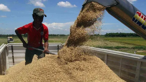 อธิบดี คต.-คน.คนใหม่ ขานรับ คสช. ลุยเดินหน้าสางปมจำนำข้าว