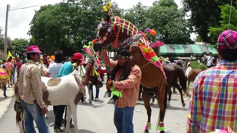 ฮือฮา! ฝูงม้าออกสเต็ปเทพ งานฉลองอัฐิ "หลวงพ่อเล็ก" 