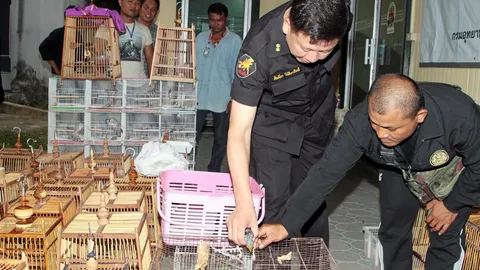 ยึดนกสงวน 