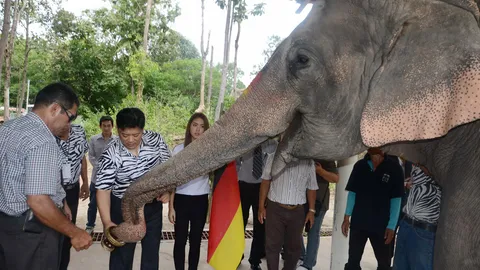 ตกรางวัลช้างเชียงใหม่ ทายแม่น'เยอรมัน'แชมป์บอลโลก