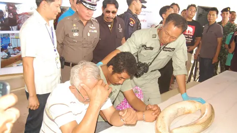 ไสช้างเข้ากระทืบ พ่อ-ลูกร่วมวางยาฆ่า‘พลายคล้าว’