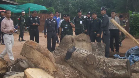ทหารสนธิกำลังเข้าอายัดไม้โรงงานเฟอร์นิเจอร์สุโขทัย
