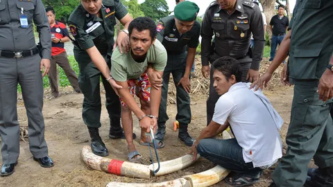 เพื่อนช้างแค้น ฮือไล่ ตร.พามือวางยาหนีหวุดหวิด  (ชมคลิป)