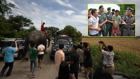 หวิดถูกช้างเหยียบ 2โจรฆ่าตัดงา