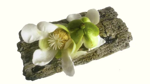 ศิลปินช่างปั้น...ปานชลี