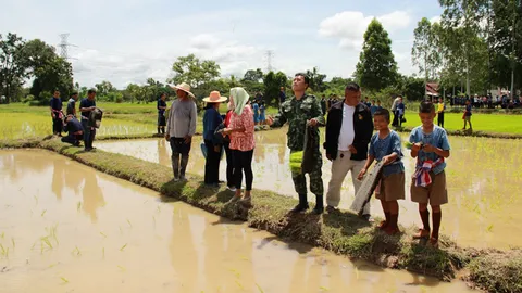 'อบจ.มุกดาหาร' เสริมภูมิชุมชนปลูกข้าวแบบใหม่ ลดต้นทุนการผลิต