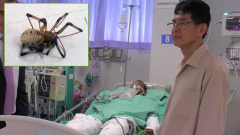 ญาติยอมแล้วให้หมอ"ตัดขา"เหยื่อแมงมุมพิษ!