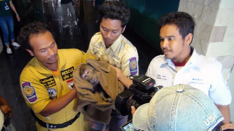 ลิงคลั่งป่วนภูเก็ต ต้องล้อมจับเตรียมปล่อยคืนป่า 