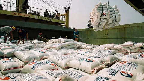 ‘พาณิชย์’ ชง ‘นบข.’ ไฟเขียวระบายข้าวลอตแรก 5 แสน ส.ค.นี้