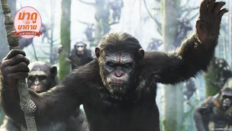 มาดูกับมาดาม: ‘Dawn of the Planet of the Apes’ เมื่อวานรได้เป็นฮีโร่