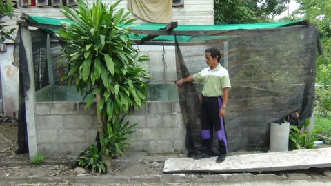 ตื่น! จระเข้วัดหายจากบ่อ จนท.เร่งหาหวั่นทำร้ายชาวบ้าน  (ชมคลิป)