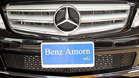 เบนซ์อมรปลุกตลาด! มั่นใจครึ่งปีหลังไปโลด