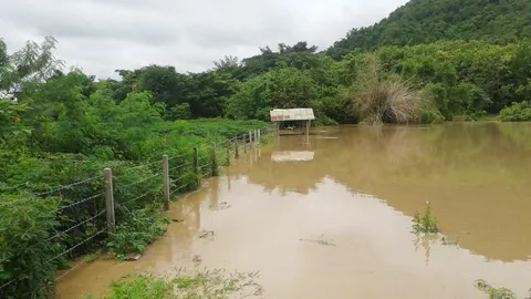 ฝนถล่มเลย น้ำทะลักท่วมนาข้าวจมบาดาล 150 ไร่