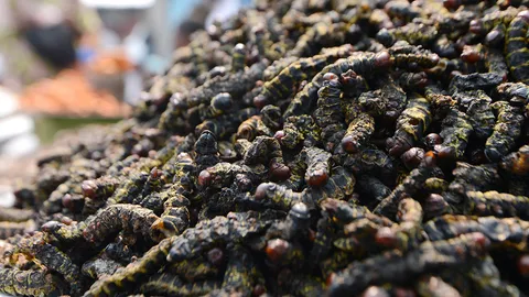 โลกาภิวัตน์ 30/07/57