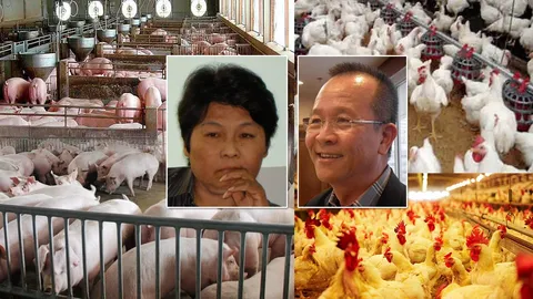 เกษตรสัญญาทาส? ปลาใหญ่กินปลาเล็ก