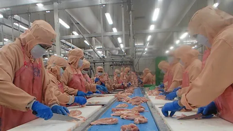 ส่งออกปศุสัตว์..ทะลุแสนล้าน อานิสงส์..มาตรฐานเดียว