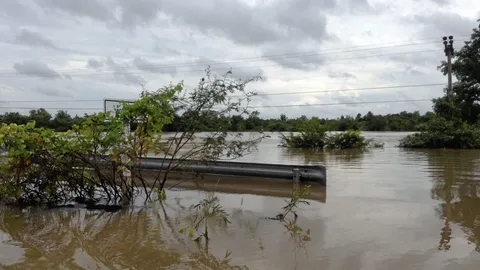 น้ำท่วม 'พิบูลมังสาหาร' ยังวิกฤติ เดือดร้อน 300 ครัวเรือน