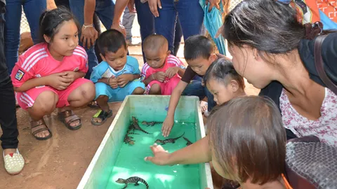 แห่ชม! 8 ลูกน้อยจระเข้เคแมน ลืมตาดูโลกวันแม่