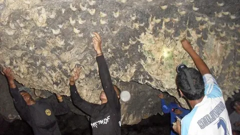 ปศุสัตว์ดันรังนกบ้าน ส่งออกตีคู่รังนกถ้ำ