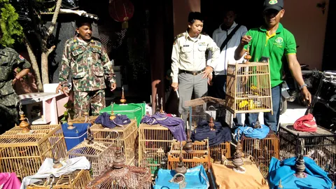 เจอนกหายาก บ้านเดียวเลี้ยงอื้อ 262 กรง 